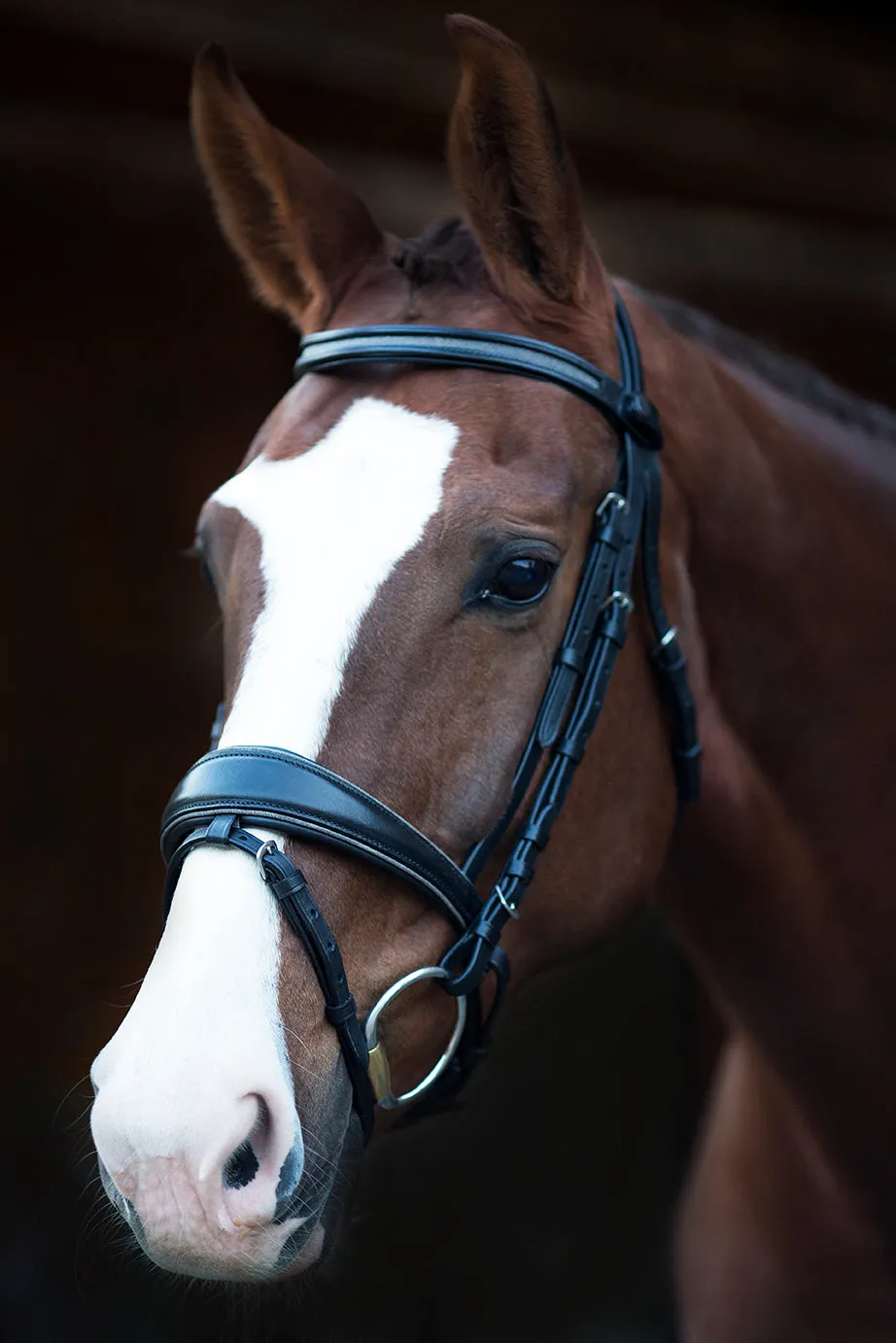 Natalia Non-Patent Black Leather Snaffle Bridle